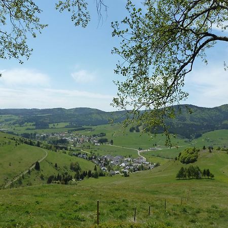 Ferienwohnung Wohnpark Schwarzwaldblick Bernau Exterior foto