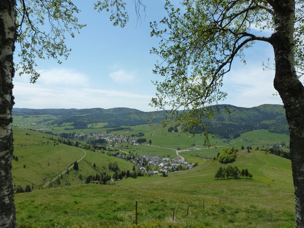 Ferienwohnung Wohnpark Schwarzwaldblick Bernau Exterior foto